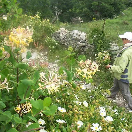 Albaria Дом отдыха Сен-Флоран