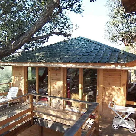 Albaria * Saint-Florent (Corsica)