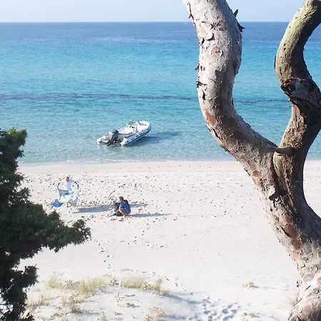 Albaria Saint-Florent (Corsica)