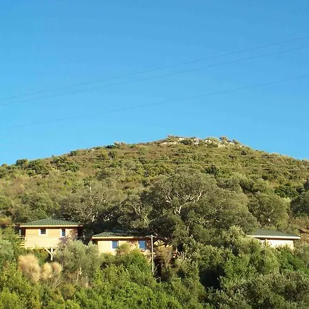 Ferienhaus Albaria *