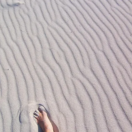 Albaria Holiday home Saint-Florent (Corsica)