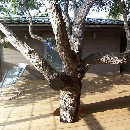 Albaria Ferienhaus