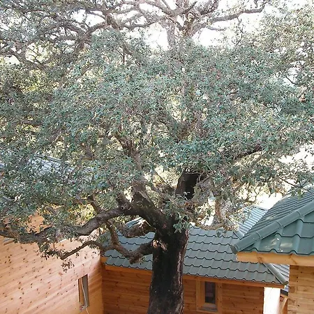 Ferienhaus Albaria Saint-Florent (Corsica)